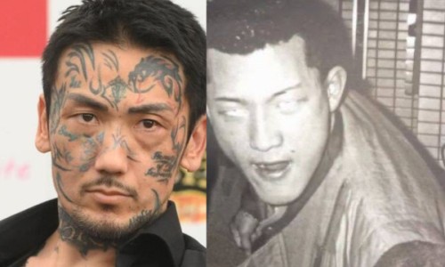梨子的功效及营养成分网 | 梨子的营养与功效,梨子的营养价值与功效作用
