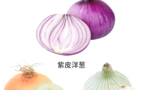 梨子的营养价值与功效作用-梨子的功效及营养成分网 | 梨子的营养与功效,梨子的营养价值与功效作用